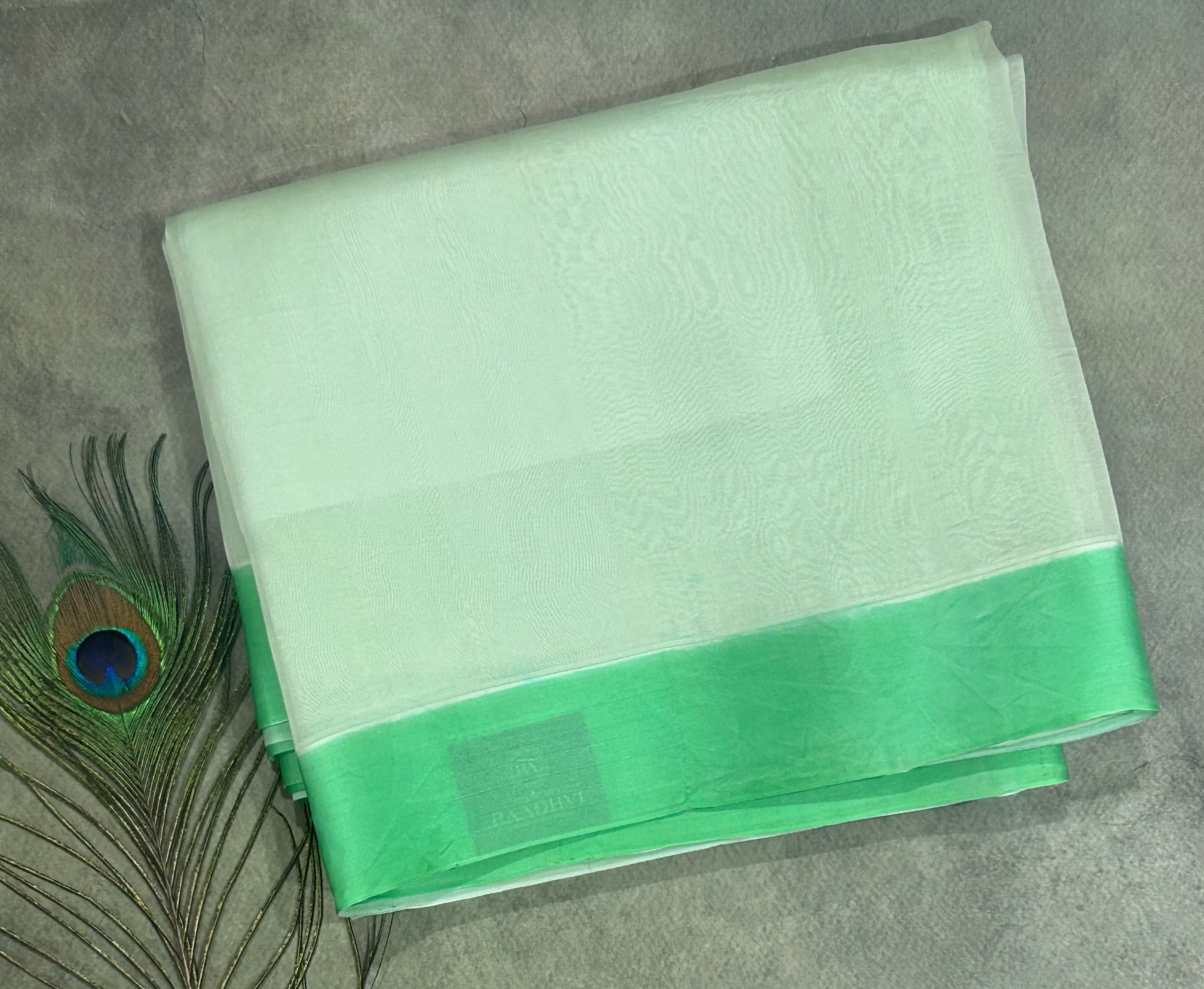 Pastel green pure kora organza saree