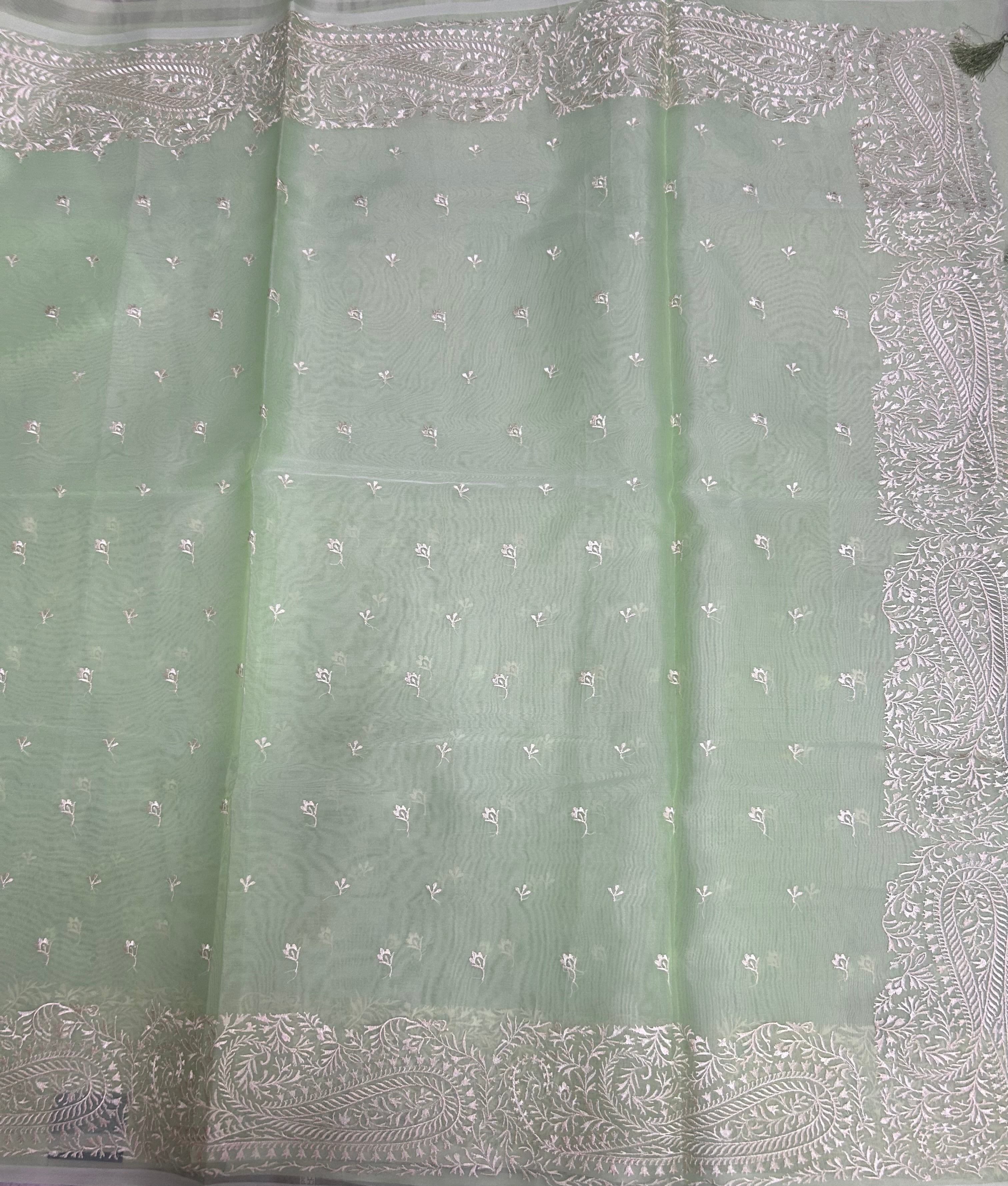 Pastel green embroidery, Semi organza Saree