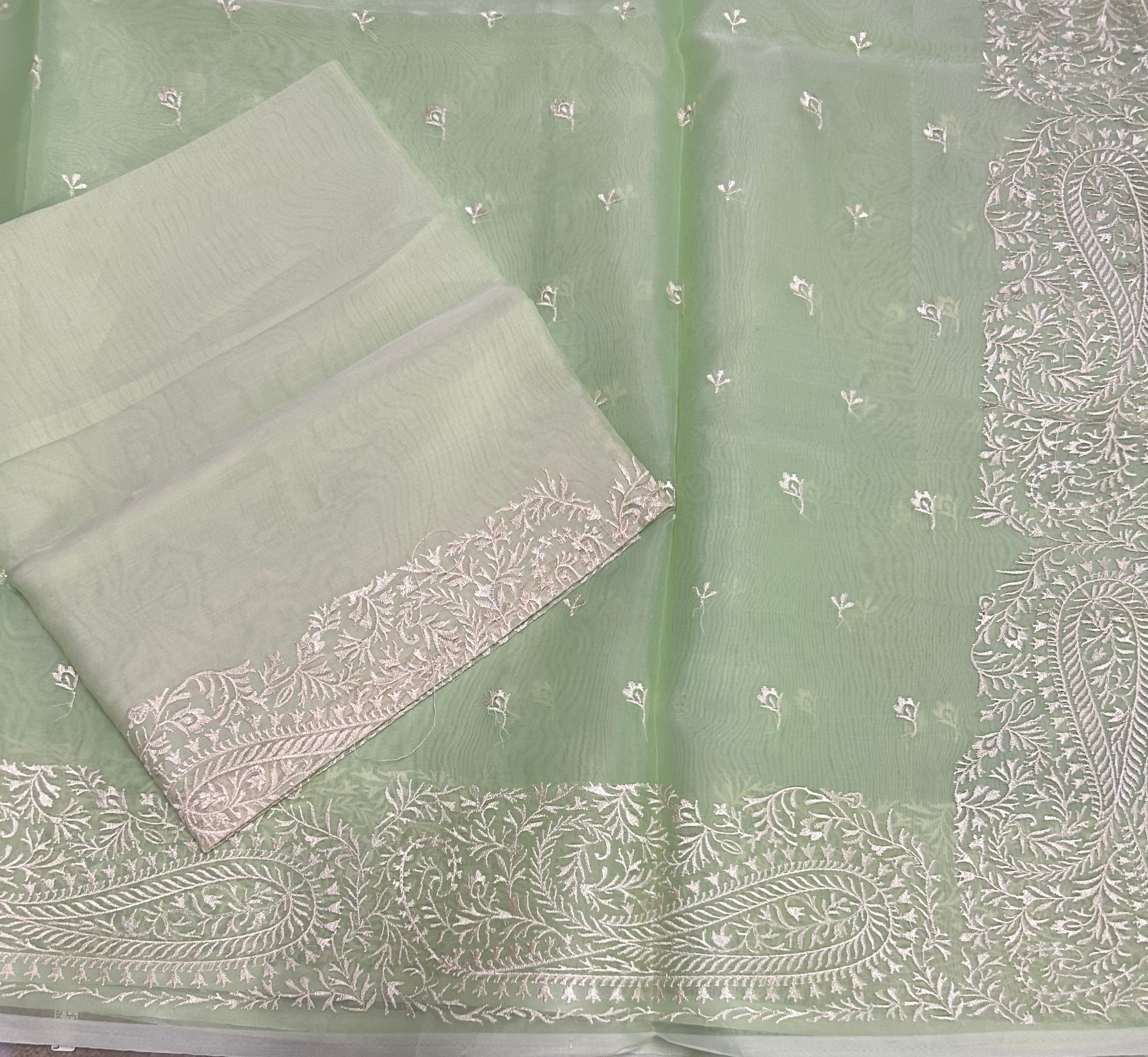 Pastel green embroidery, Semi organza Saree