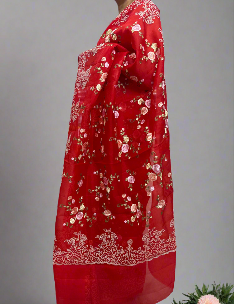 Red embroidery pure organza saree