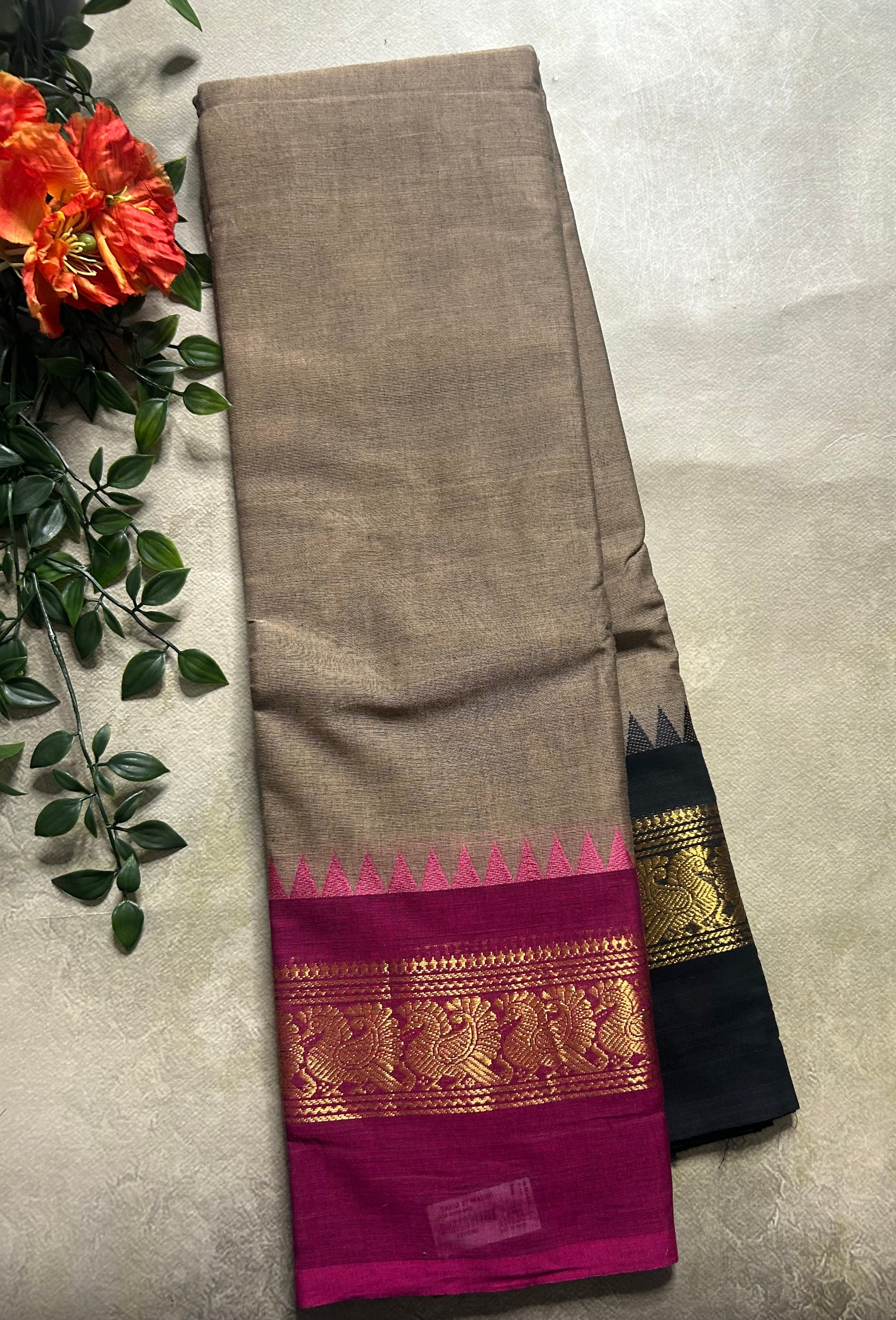 Light brown Kanchi border pure cotton 103 saree