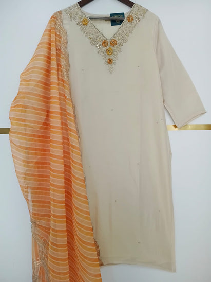 Cream shimmer Hand Embroidery Straight Fit Kurtha 151