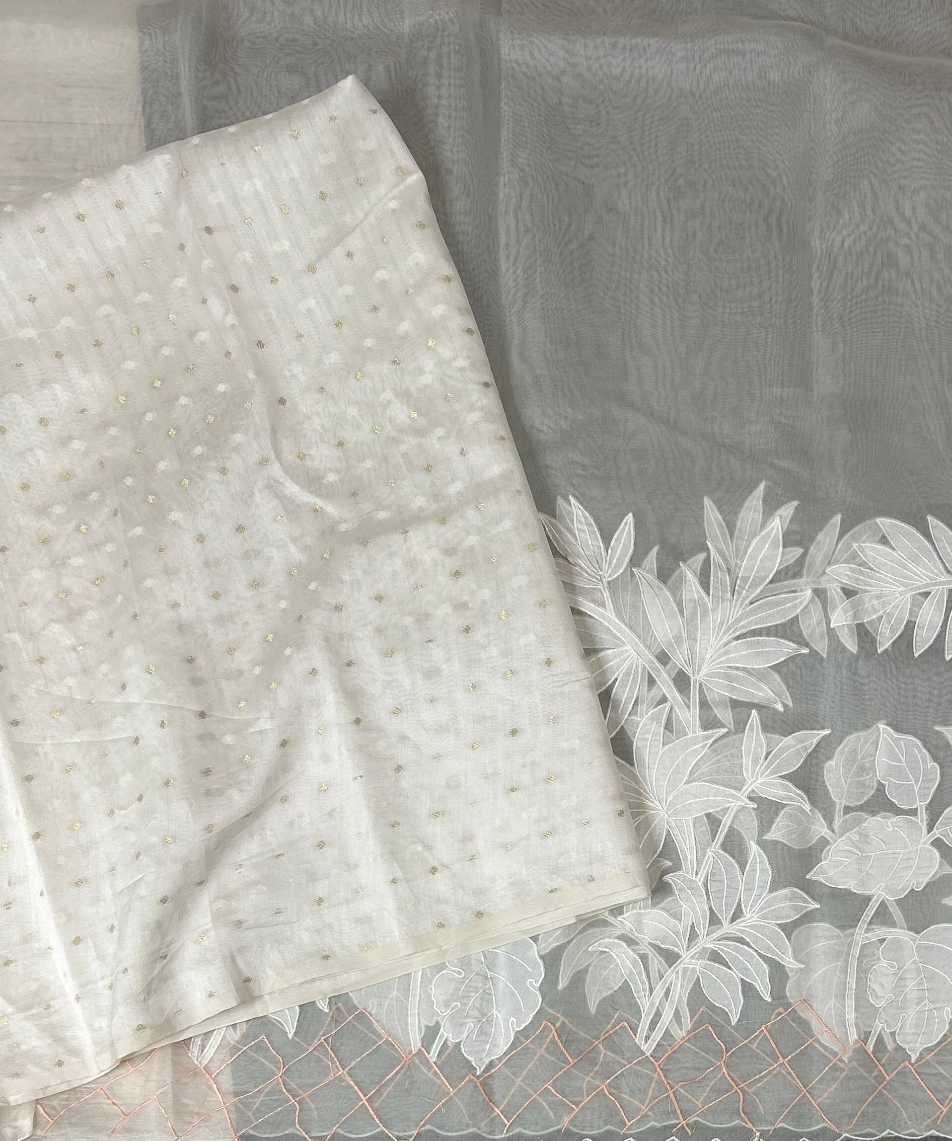 White pure organza embroidery saree