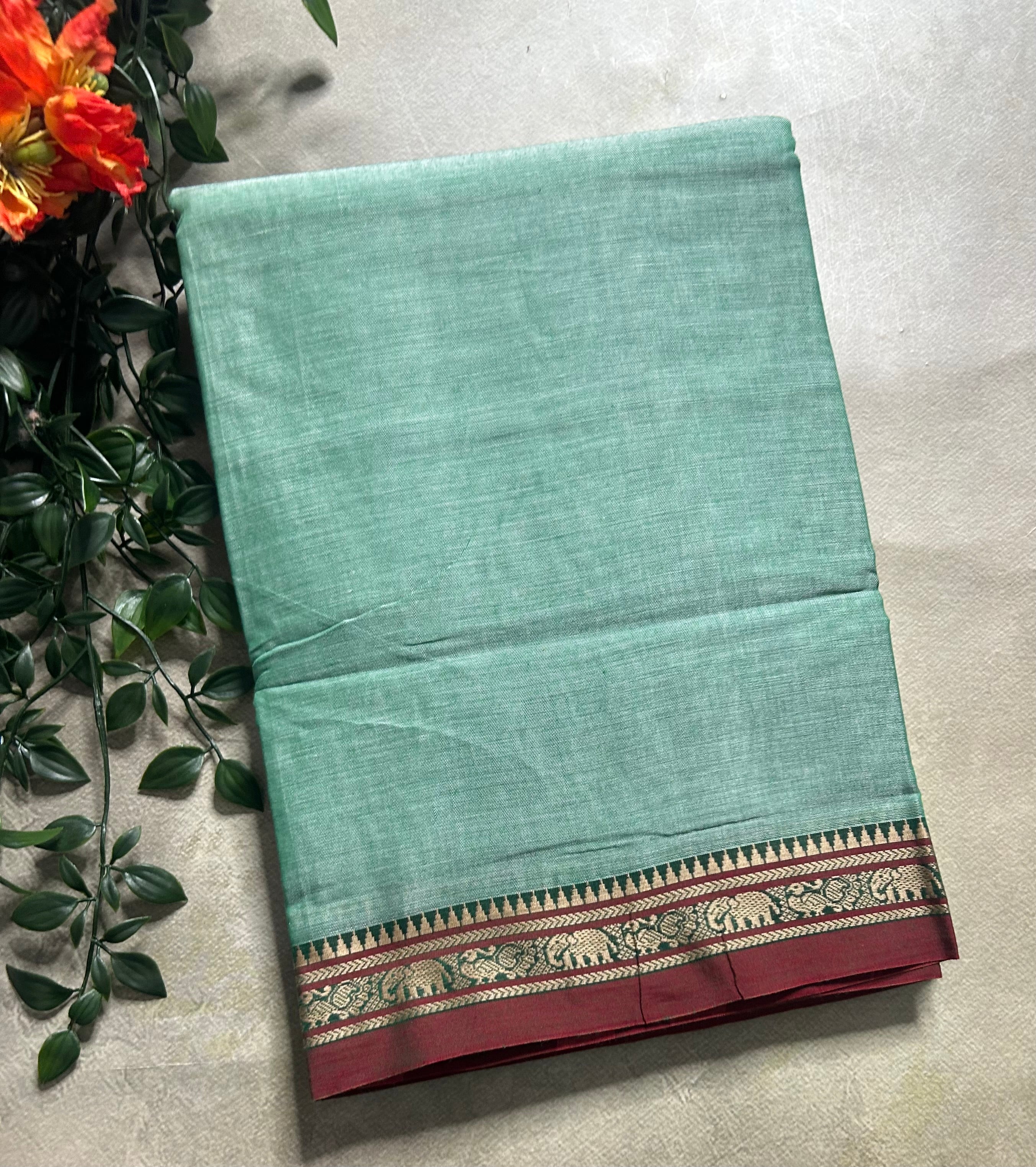 Pastel green Kanchi border pure cotton 103 saree