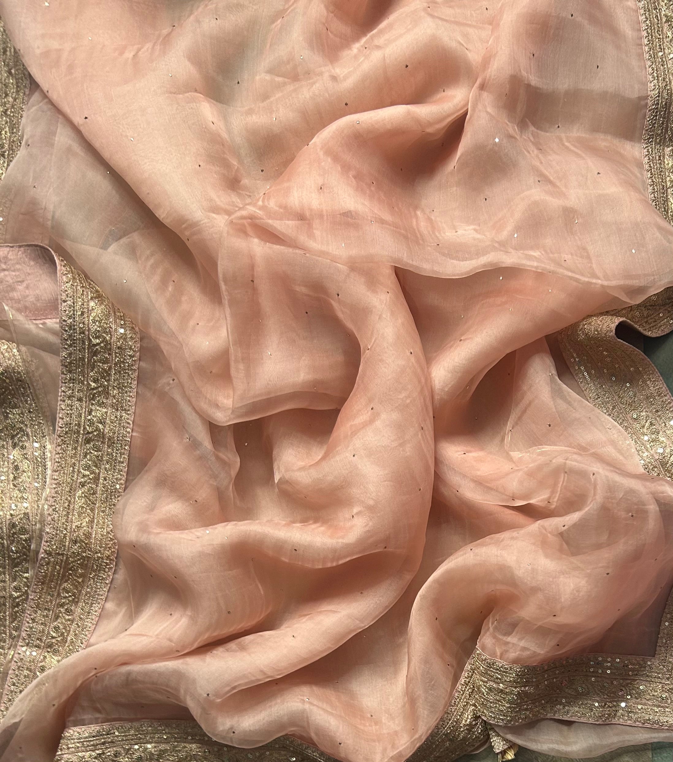 Peach sabyasachi tissue saree