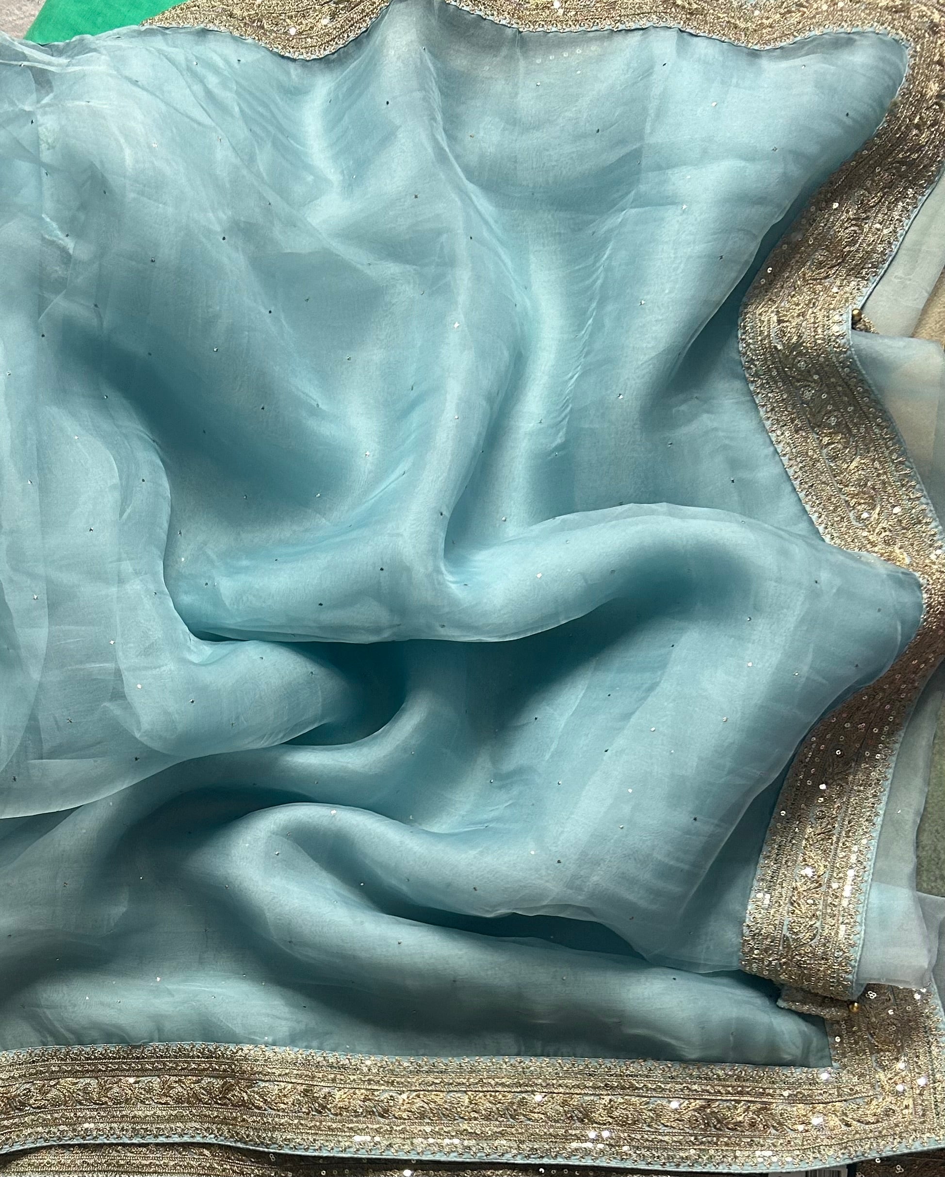 Pastel blue sabyasachi tissue saree