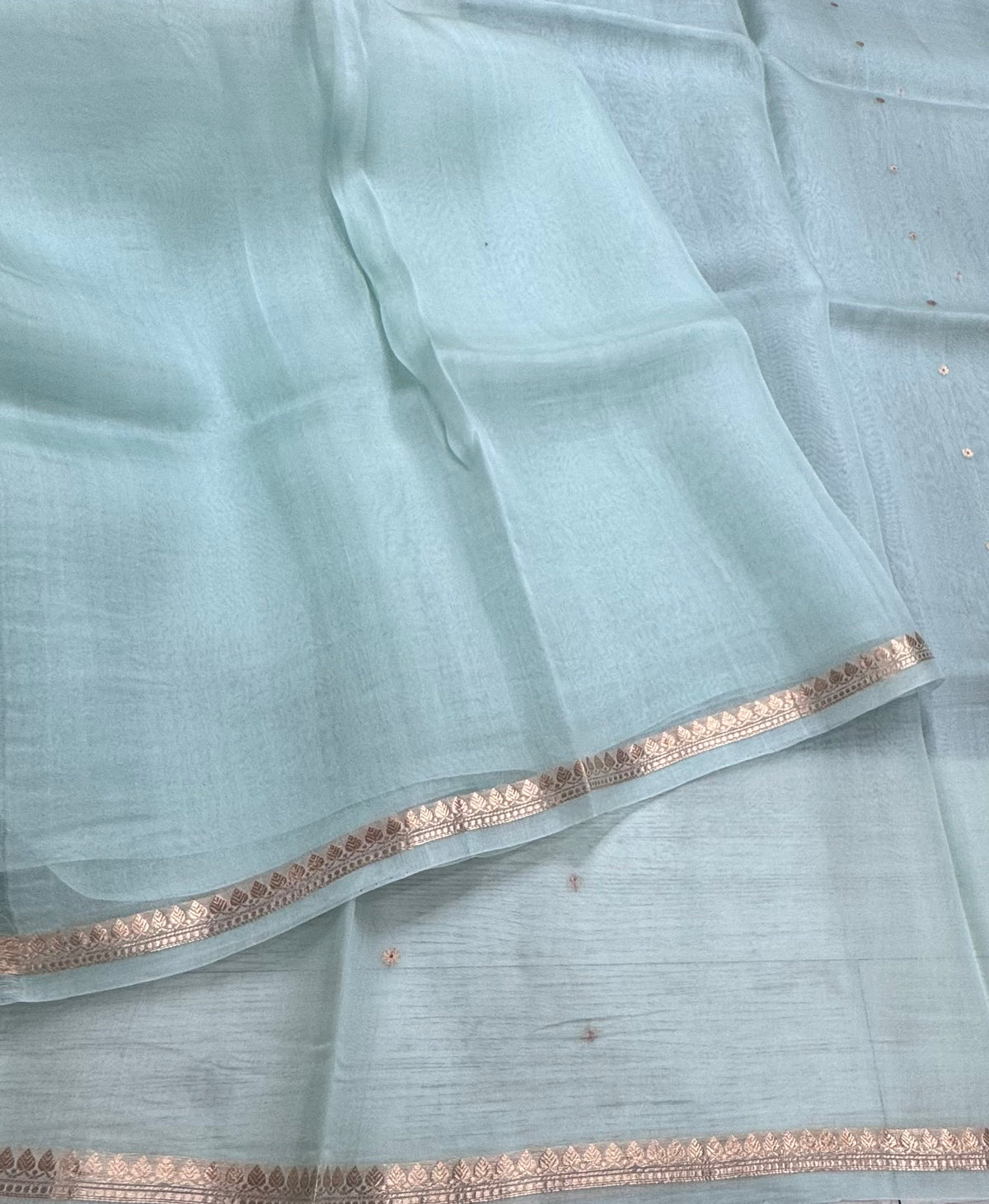 Sea green pure Kora Organza Saree 111