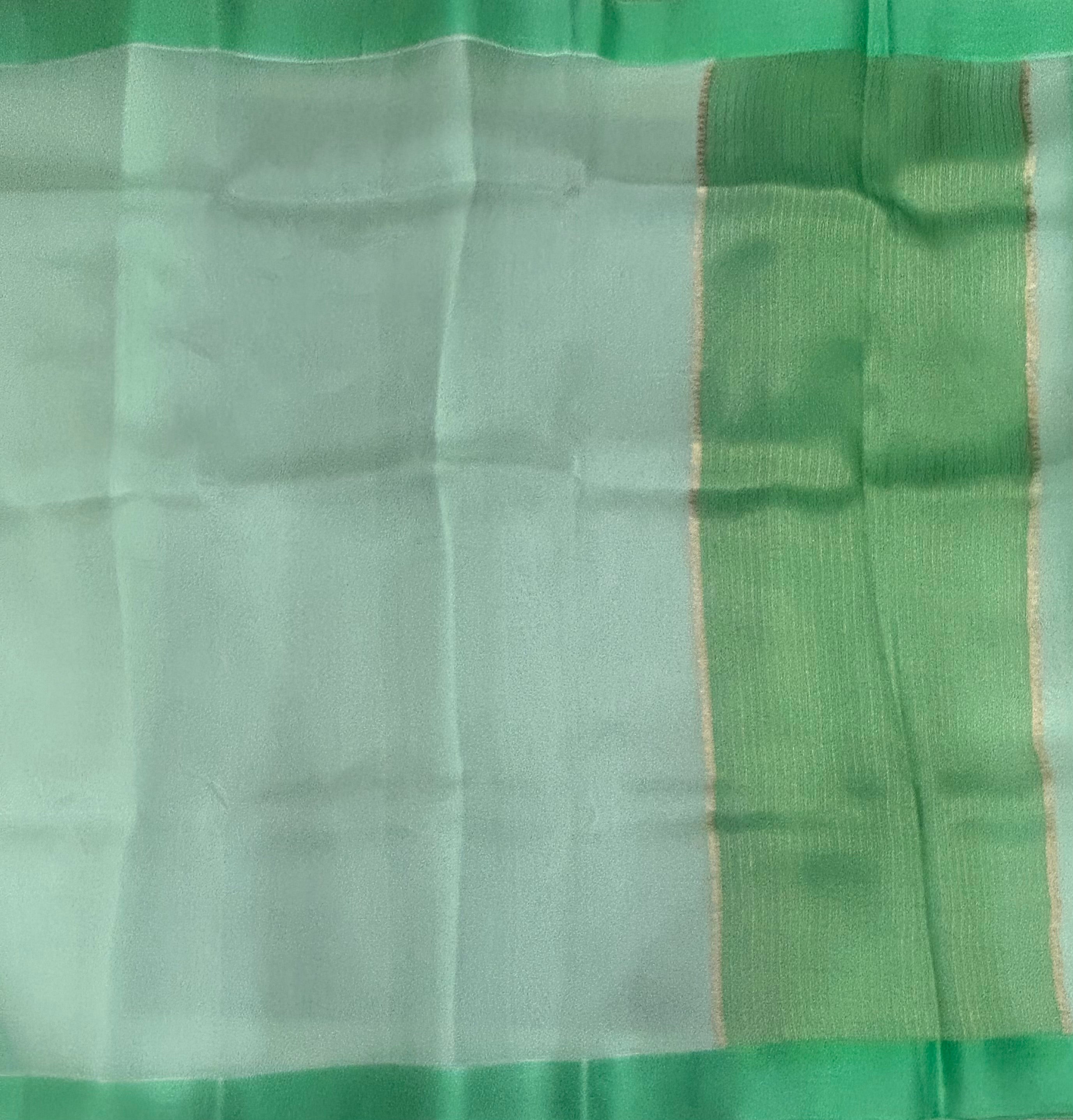 Pastel green pure barbie kora 102 organza saree