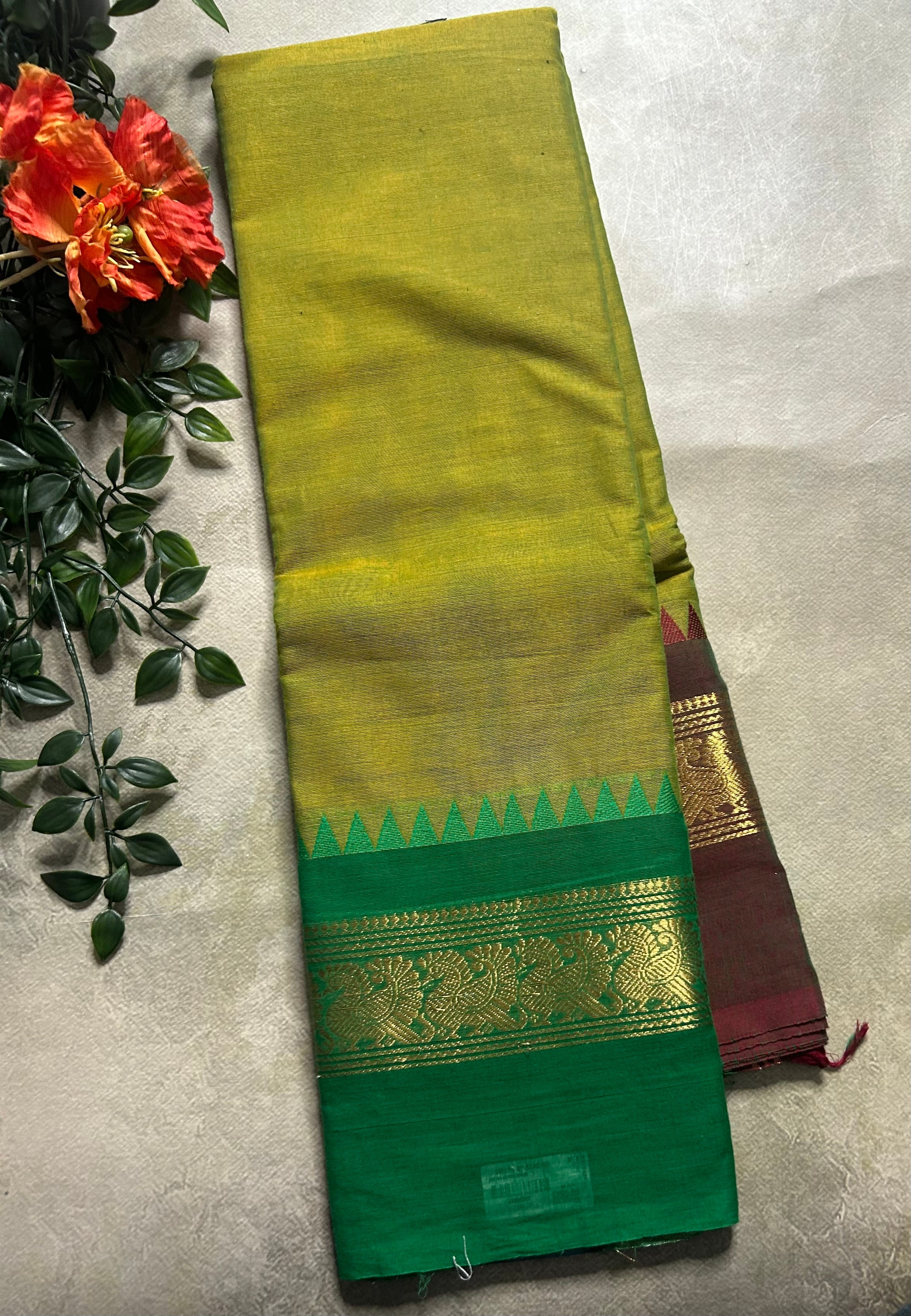 Light green Kanchi border pure cotton 103 saree