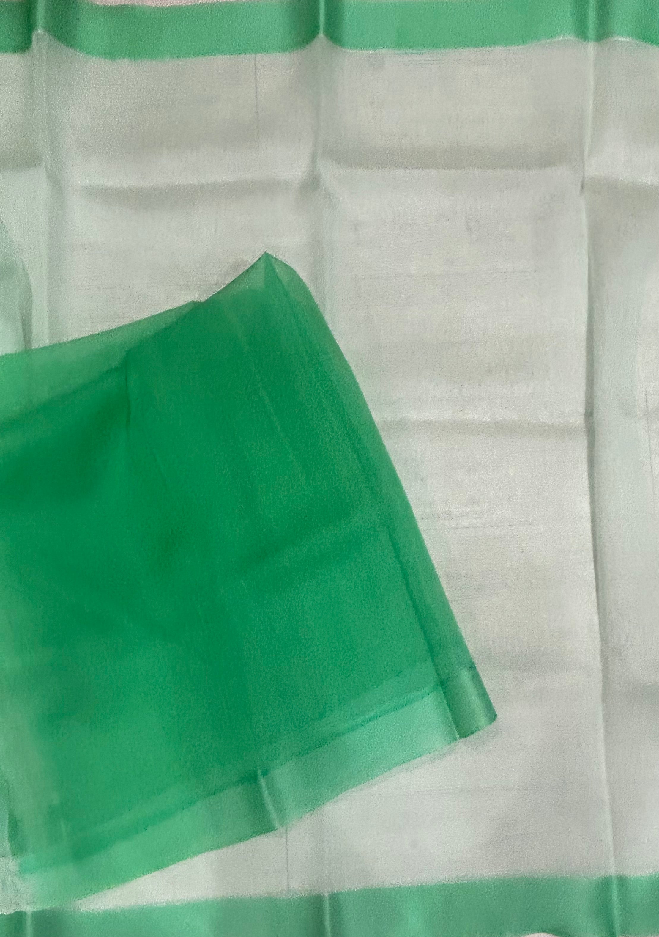Pastel green pure barbie kora 102 organza saree
