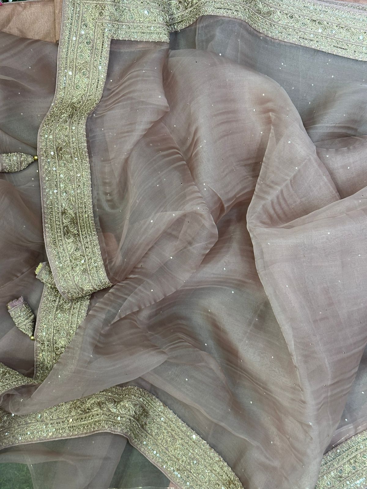Begie sabyasachi inspired pure organza saree