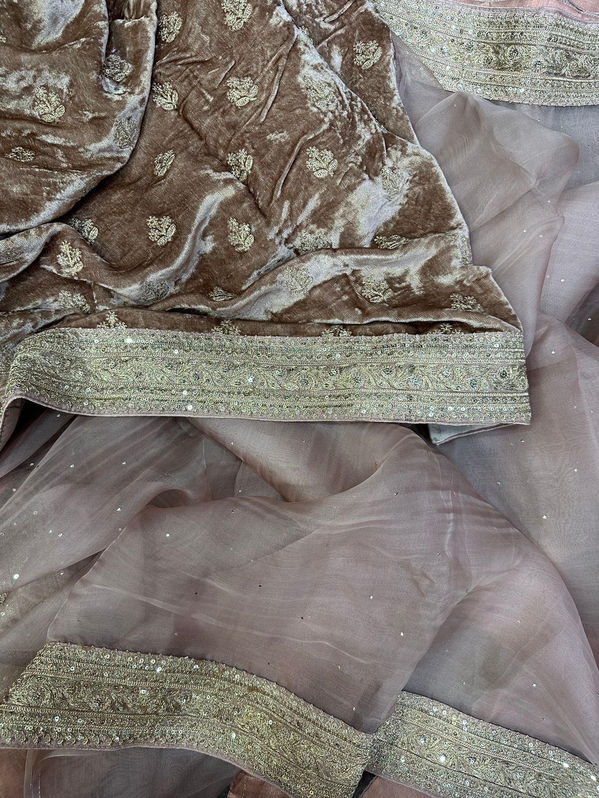Begie sabyasachi inspired pure organza saree
