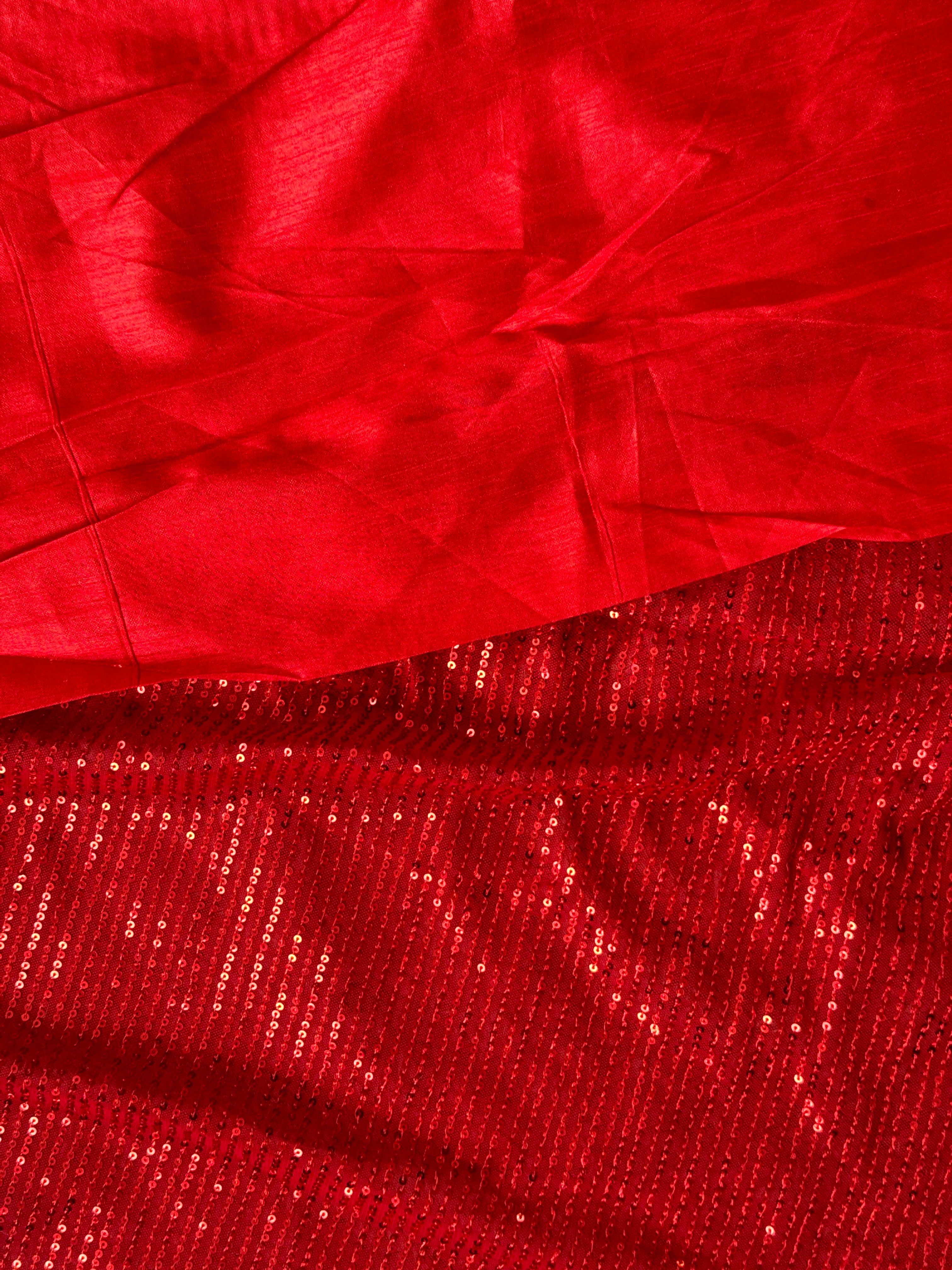 Red netted sequins Saree