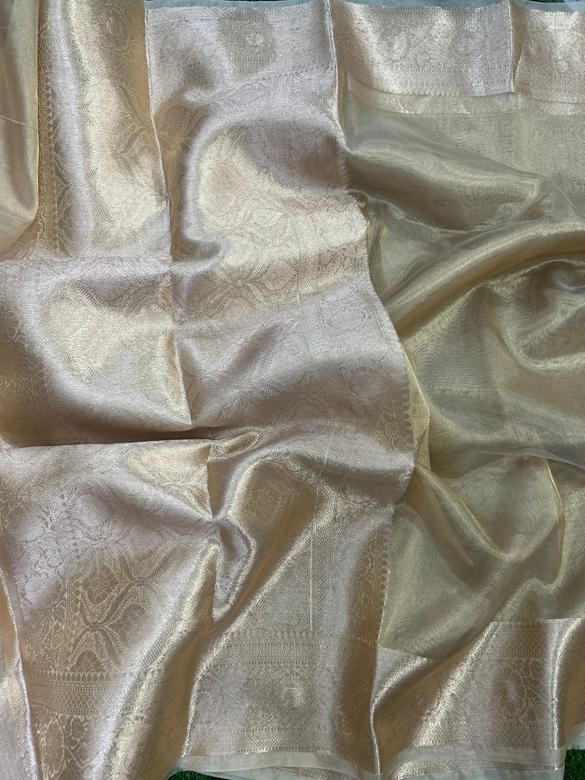 Malaika arora 01 plain pure tissue silk saree