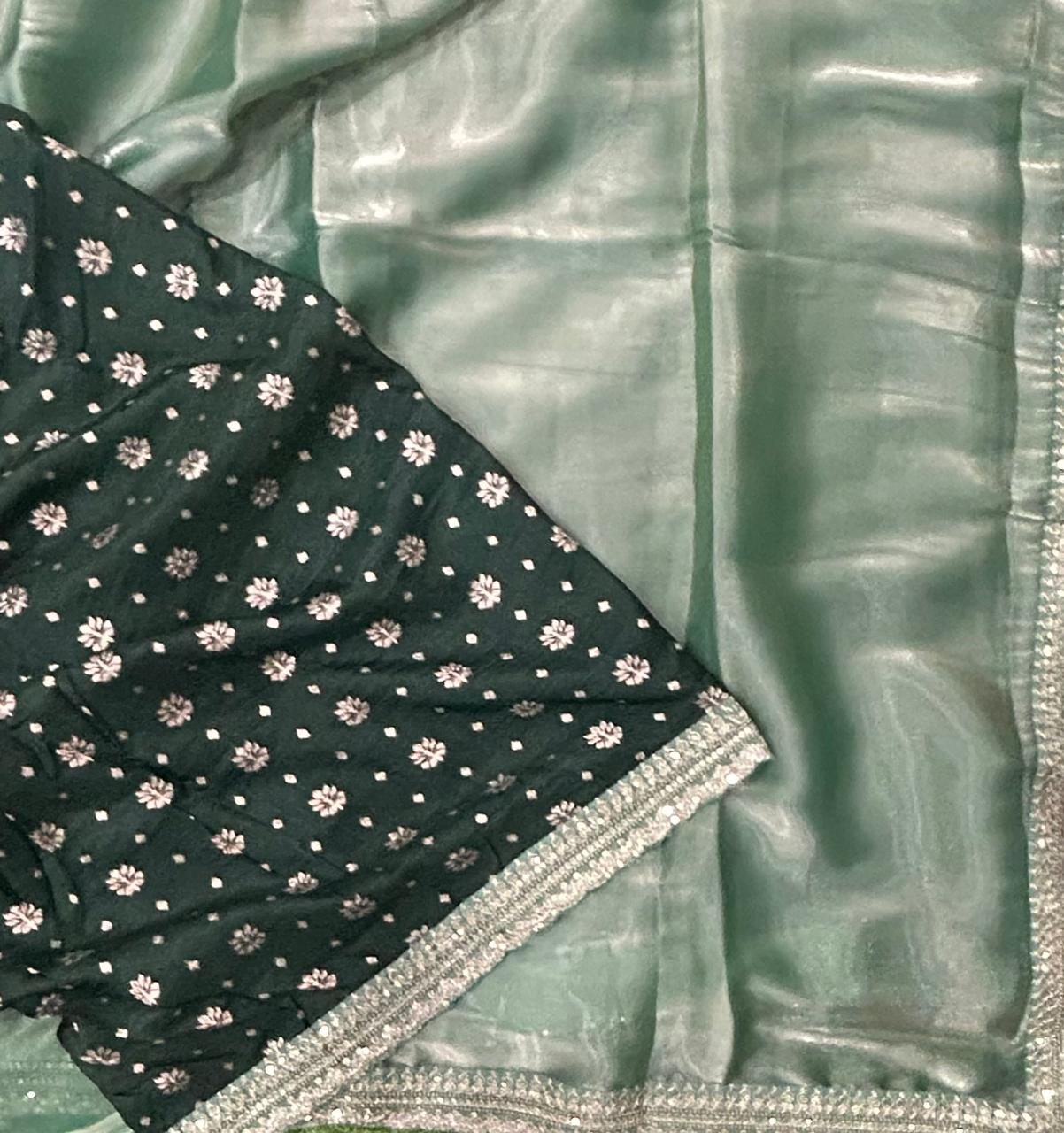 Pastel green tissue designer party wear with work blouse saree