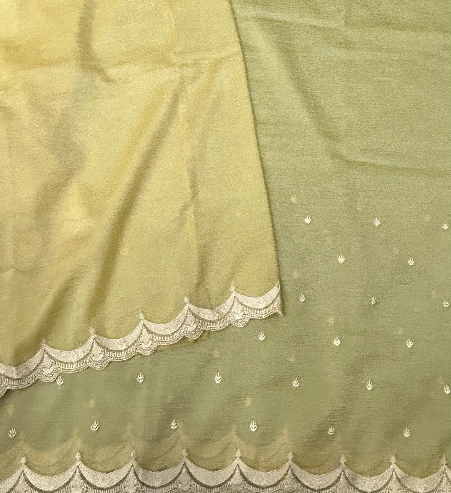 Golden scallop crush tissue saree (RR)