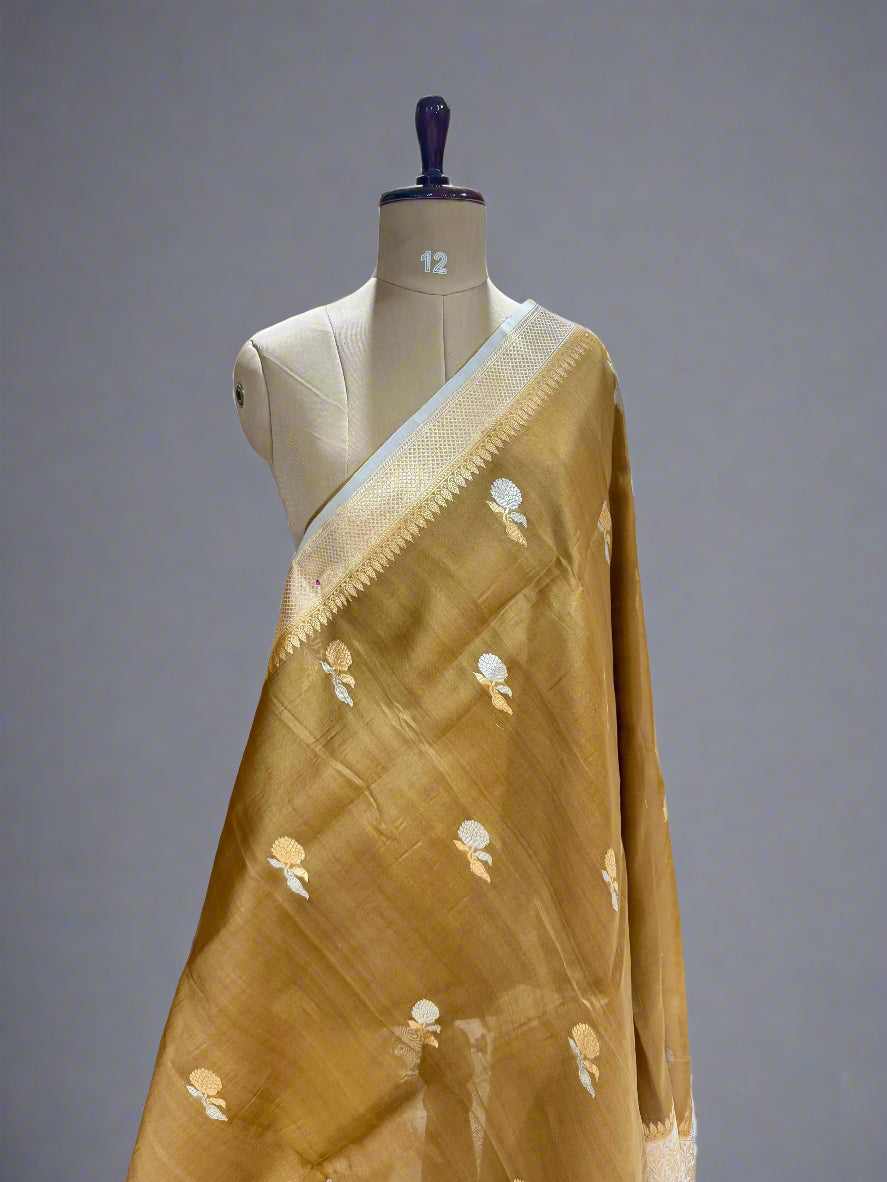 Golden beige  pure kora organza-07 saree