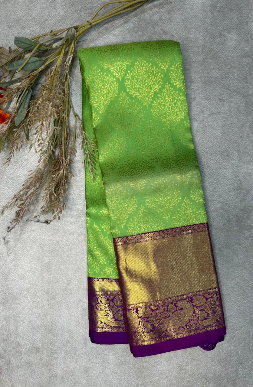 Pastel green n purple pure kanchipuram-101 silk saree