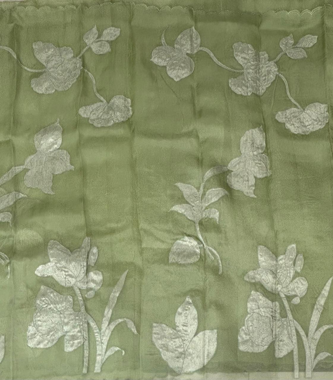 Pista green aplique work pure organza 102 saree