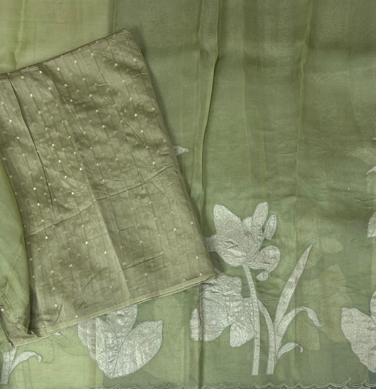 Pista green aplique work pure organza 102 saree