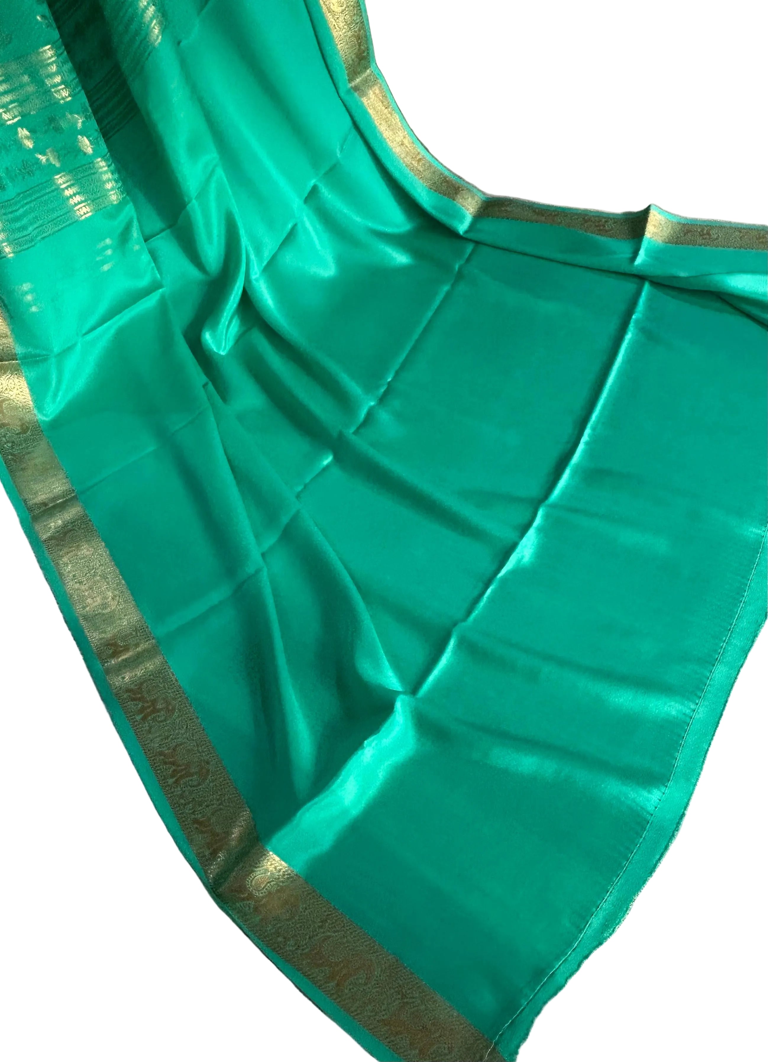 2D small border partly pallu pure Mysore silk saree 105