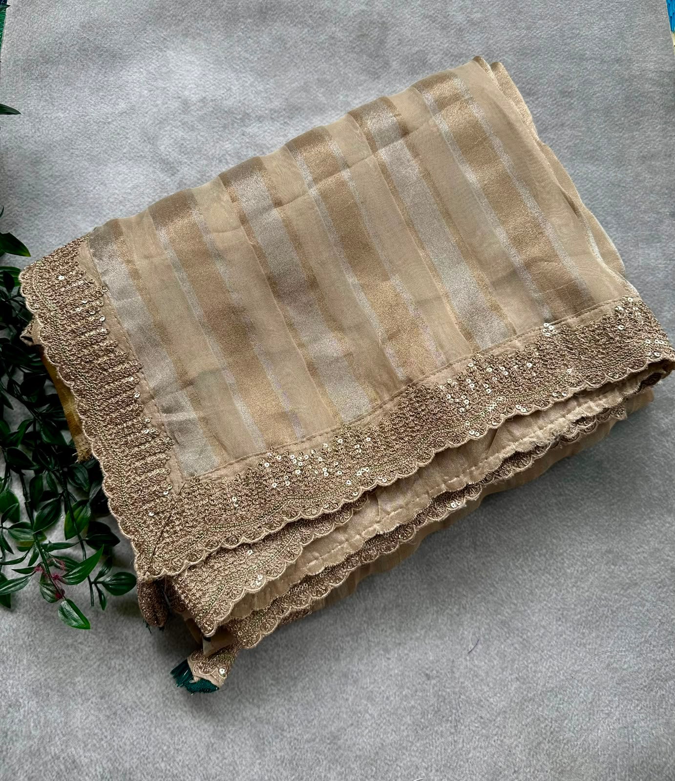 Cream tissue scallop saree