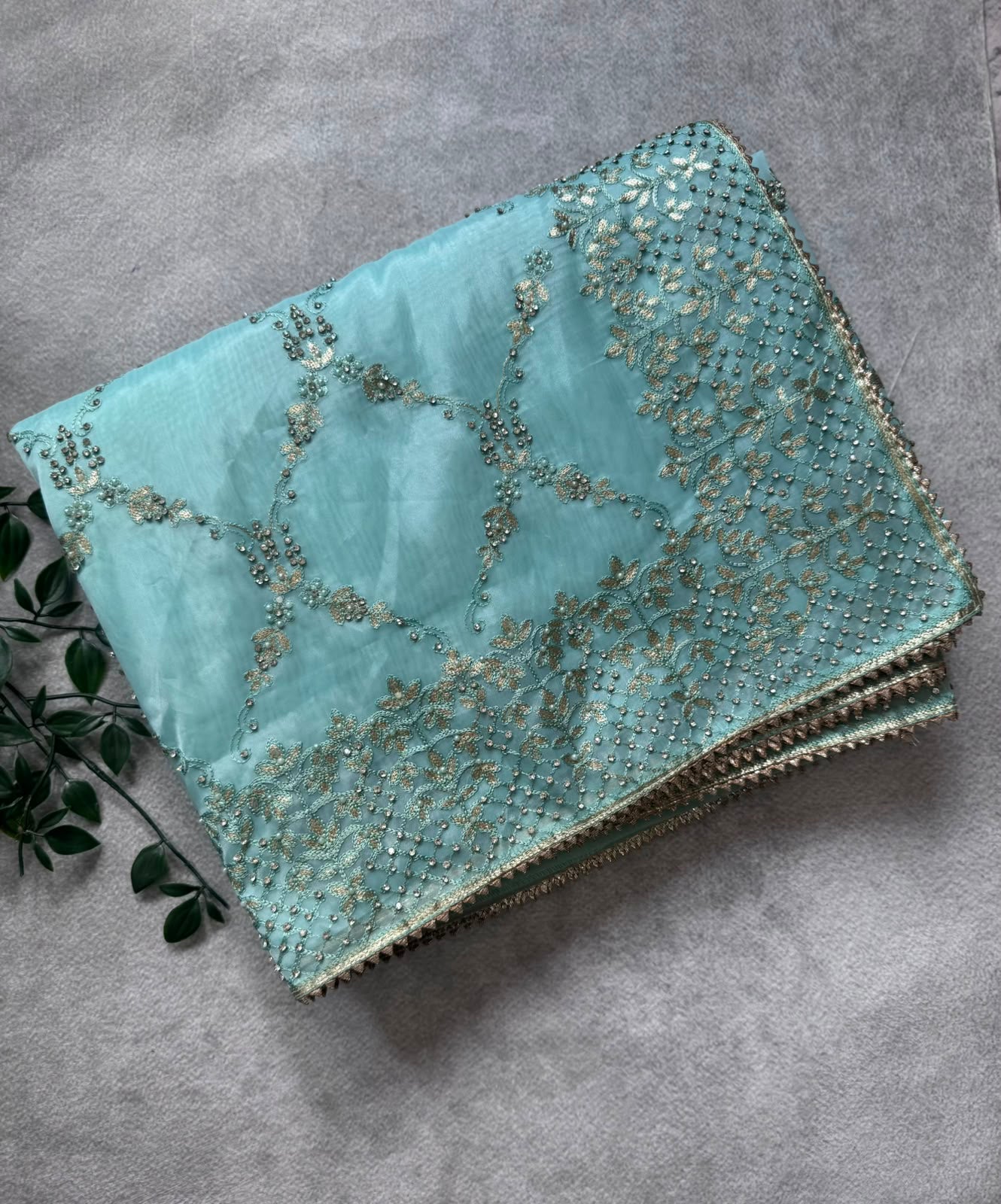 Pastel green organza tissue Party Wear Saree