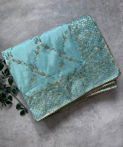 Pastel green organza tissue Party Wear Saree