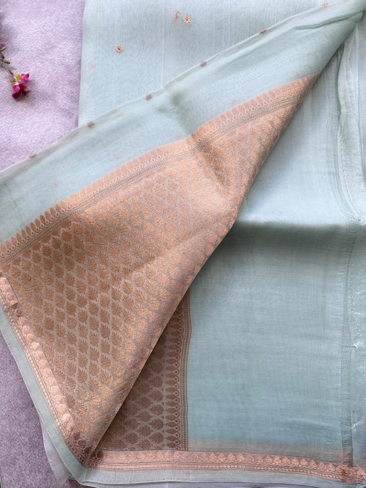 Pastel Green Pure Kora Organza Silk Saree 109