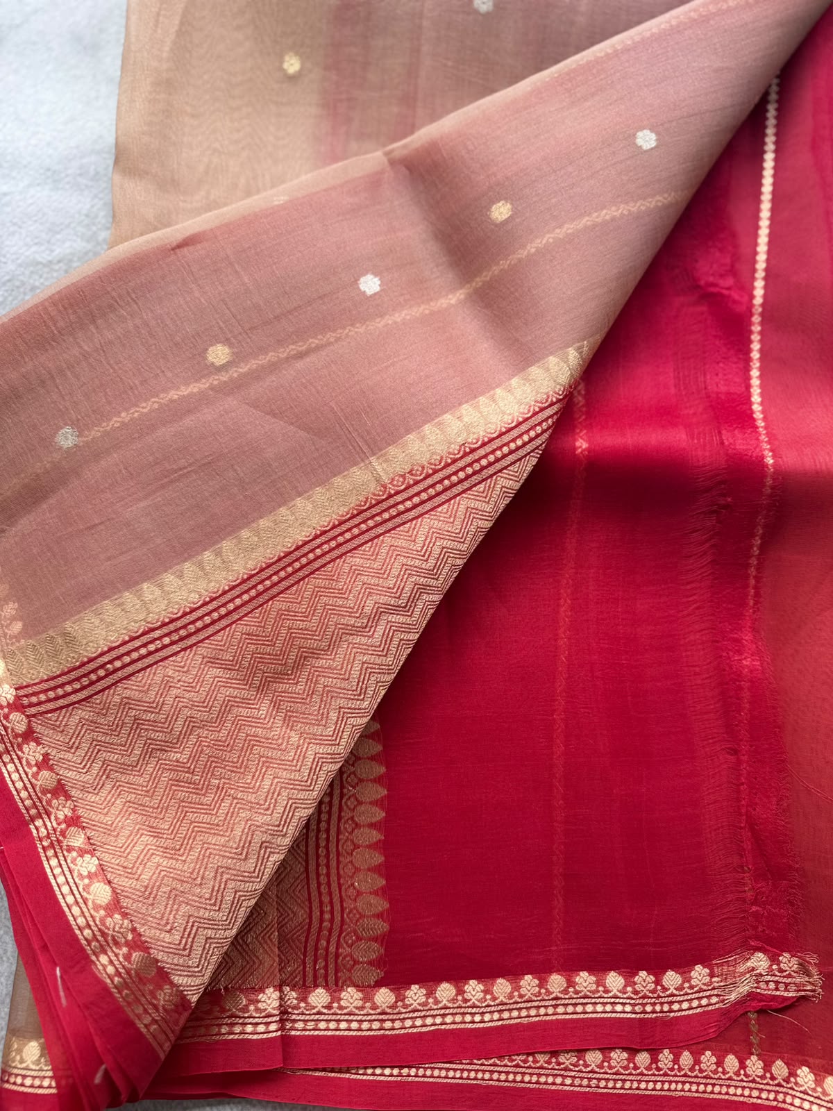 Beige Pure Kora Organza Saree 109