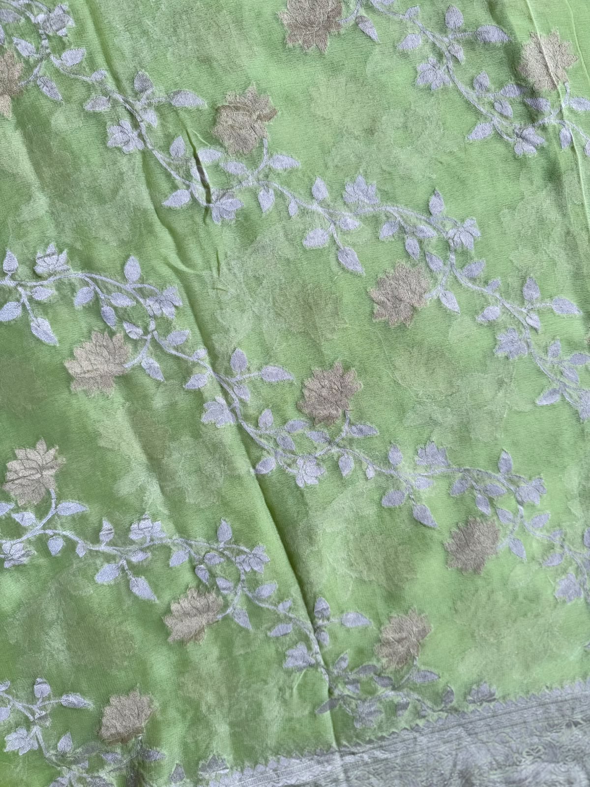 Green Handloom Pure Benarasi Georgette Saree 109
